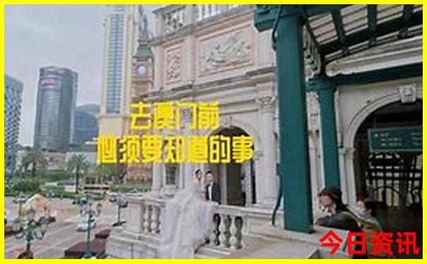54949免费资料大全查询
